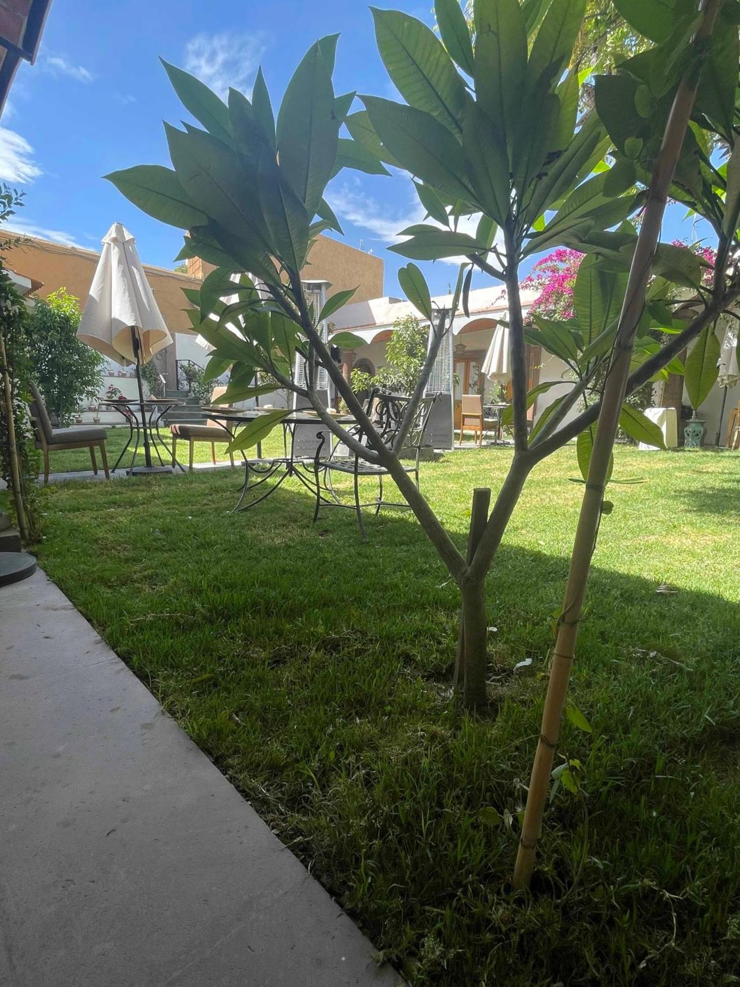 Huichapan Hotel Casona El Calvario מראה חיצוני תמונה